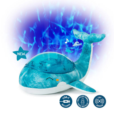 Ballena Tranquila Turquesa