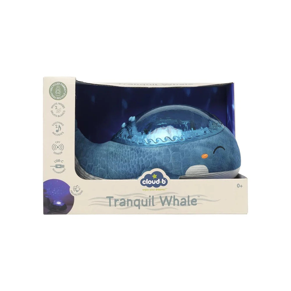 Ballena Tranquila Turquesa