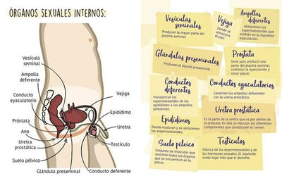 El Semen Mola, pero necesitas saber cómo funciona