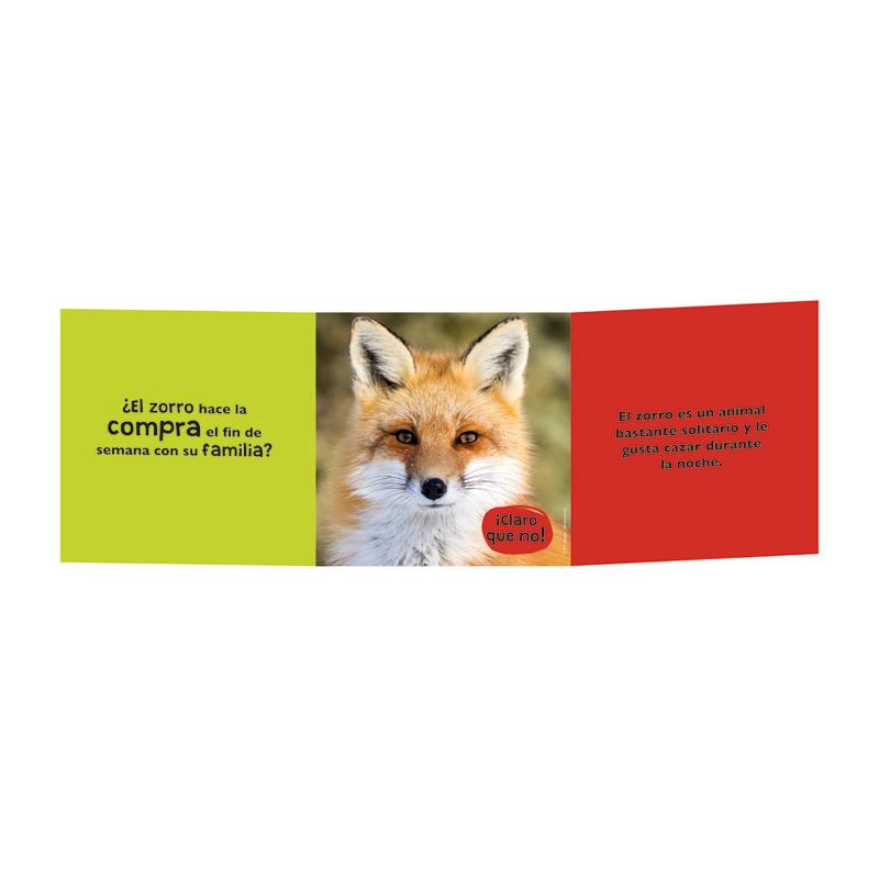 Animascopio: Animales del Bosque