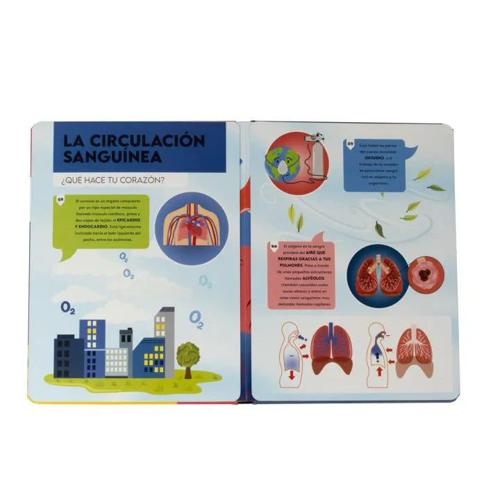 Hablemos sobre... El Cuerpo Humano - Panini Infantil