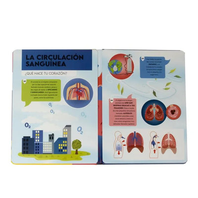 Hablemos sobre... El Cuerpo Humano - Panini Infantil