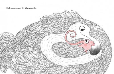 Los recuerdos de Pomelo - Kokinos