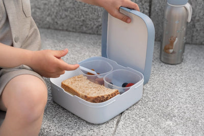 Caja Bento Campus Forest Friends - Little Dutch