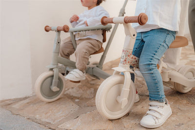 Triciclo Evolutivo (Varios colores) - Little Dutch