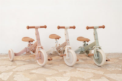 Triciclo Evolutivo (Varios colores) - Little Dutch