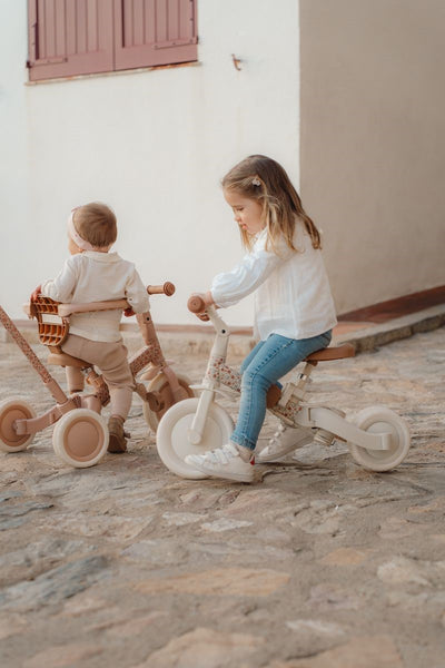 Triciclo Evolutivo (Varios colores) - Little Dutch