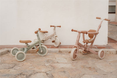 Triciclo Evolutivo (Varios colores) - Little Dutch