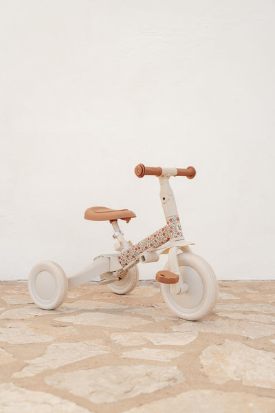 Triciclo Evolutivo (Varios colores) - Little Dutch