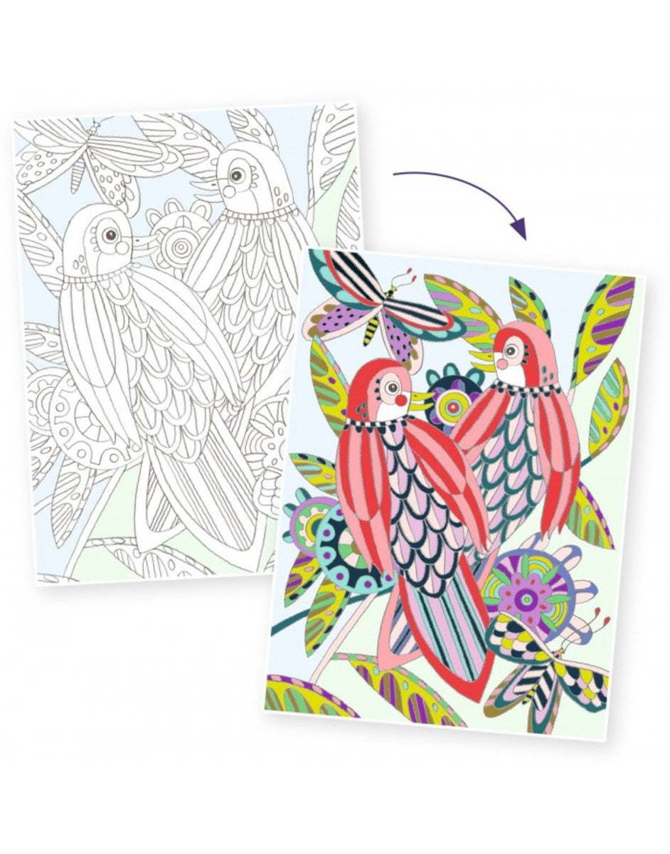 Láminas para colorear - Pájaros by Jennifer Davis