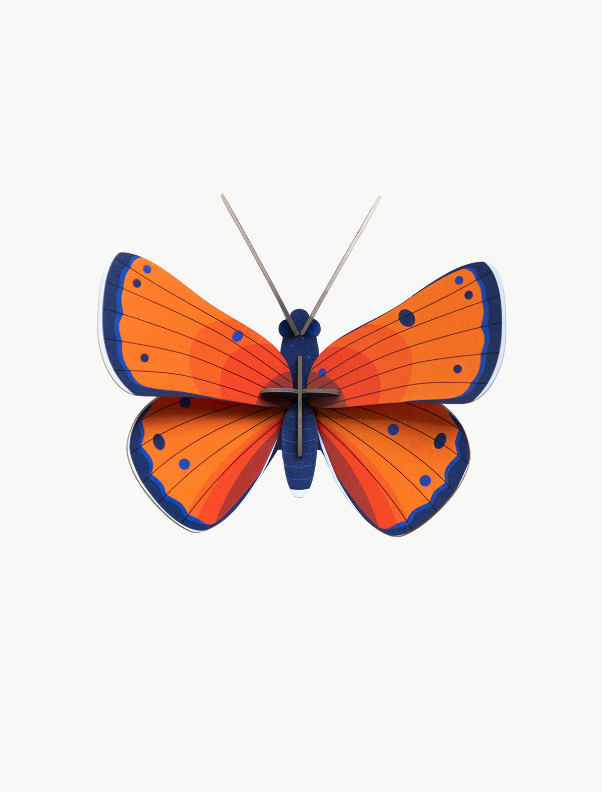 Bicho (S) - Mariposa de cobre